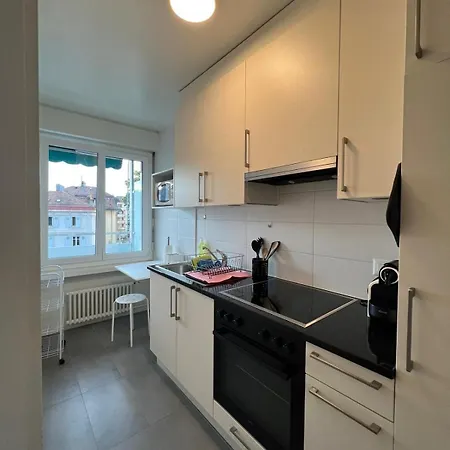 Charming Near The Geneva Lägenhet