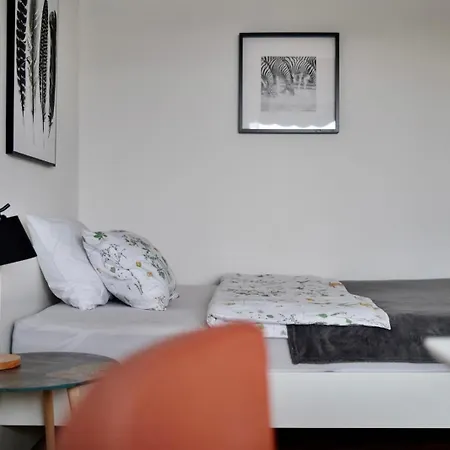 Charming Near The Geneva Lägenhet