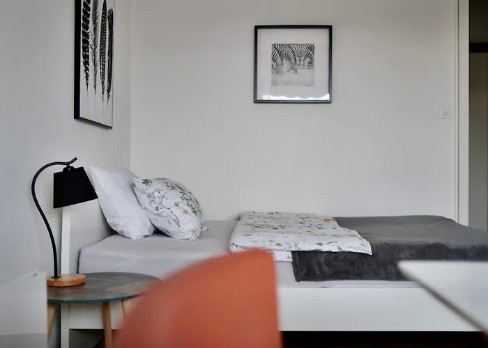 Charming Near The Geneva Apartment