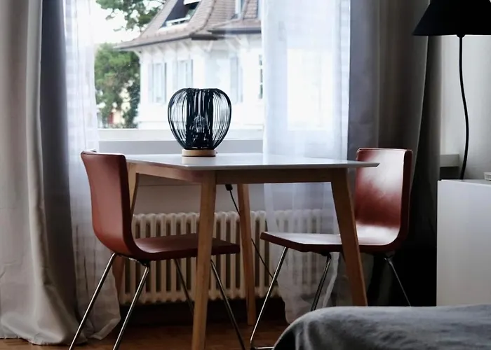 Charming Near The Geneva Apartment